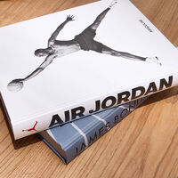 Air Jordan Classic Book 10x13cm assouline air jordan classic book 10x13cm