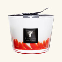 baobab collection feathers masaai candle max 10