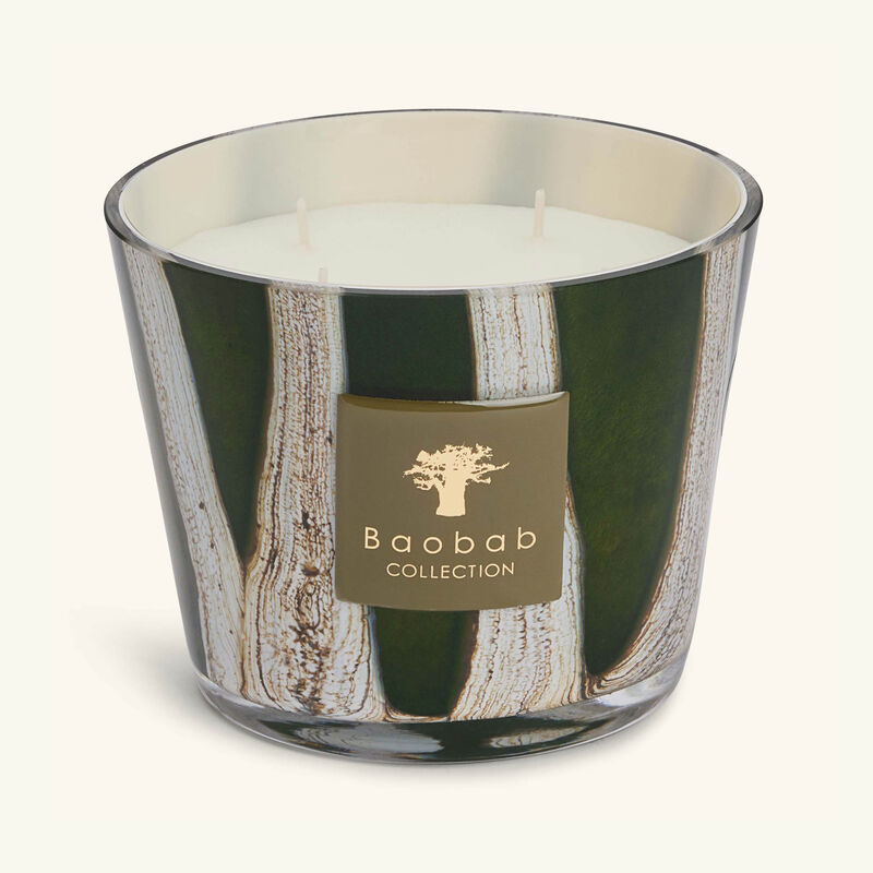 baobab collection woods sherwood candle max 10