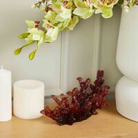 daum mer de corail centerpiece orange