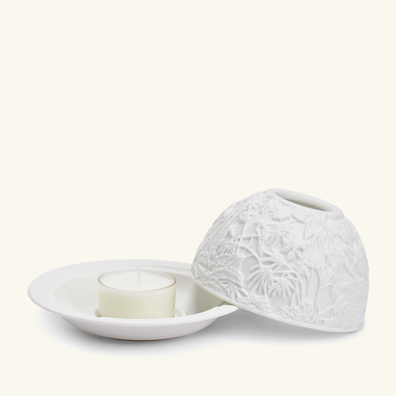 برناردو مصباح ليثوفاني بورنيو