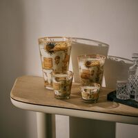 baobab collection tomorrowland 2025 candle max 10