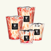baobab collection pearls coral candle maxi max