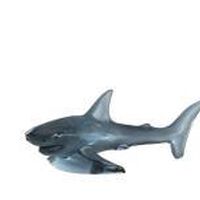 Shark Sculpture, small