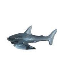 Shark Sculpture Shark Sculpture, small