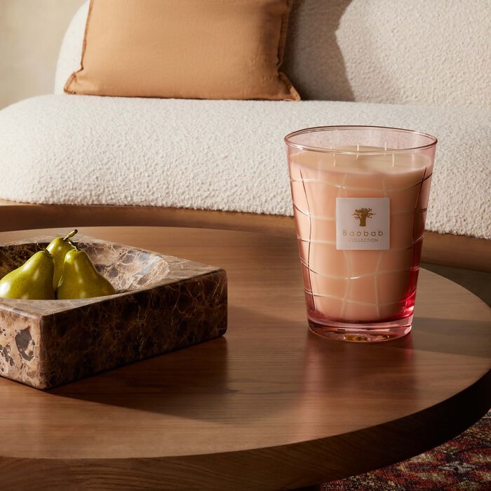baobab collection waves malibu candle max 24