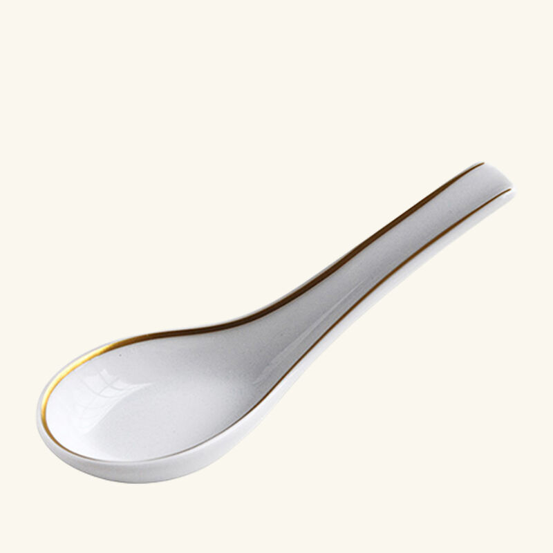 bernardaud sol chinese spoon