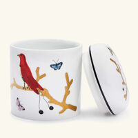 bernardaud aux oiseaux box white