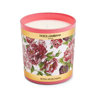 Rosa Moschata Candle, small