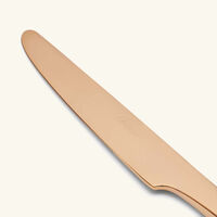 l ame de christofle table knife pink