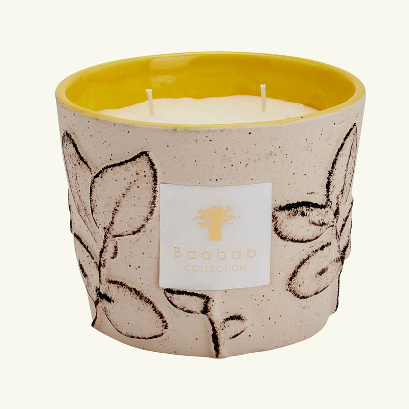 baobab collection folia calanque candle max 10