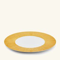 هافيلاند طبق الضيافة إنفيني دائري باللون الذهبي 32