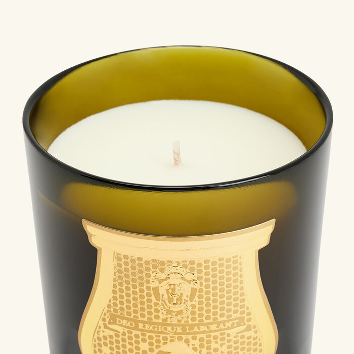 ترودون الشمعة المعطرة جوزفين 270 جرام
