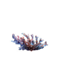 Mer De Corail Bowl Mer De Corail Bowl, small