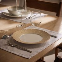 Mordore Dinner Plate Round Gold 26cm bernardaud mordore dinner plate round gold 26cm