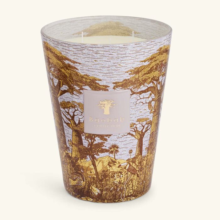 baobab collection sacred trees boukani candle max 24