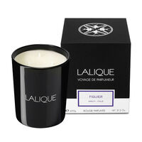 Figuier Amalfi Candle, small