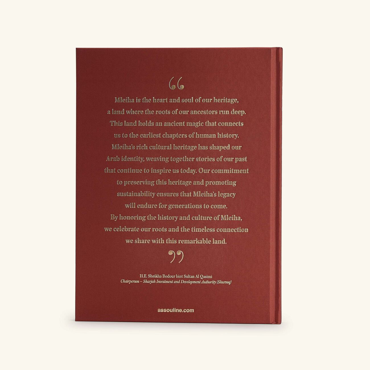 assouline mleiha ancient treasures of the uae book