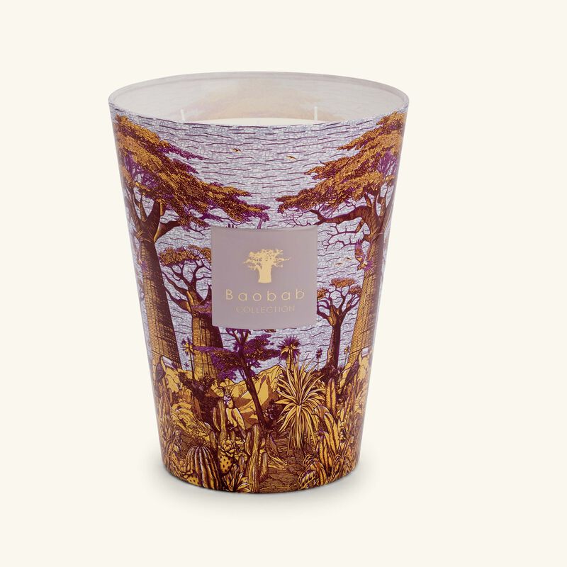 Sacred Trees Massasso Candle Max 24 baobab collection sacred trees massasso candle max 24