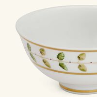 bernardaud constance soup bowl green