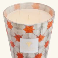 baobab collection odyssee calypso candle max 24