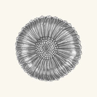 buccellati poppy flower bowl large silver