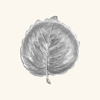 buccellati hazel leaf bowl mini