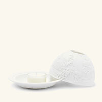 مصباح ليثوفاني مونيومان دو باري برناردو مصباح ليثوفاني مونيومان دو باري