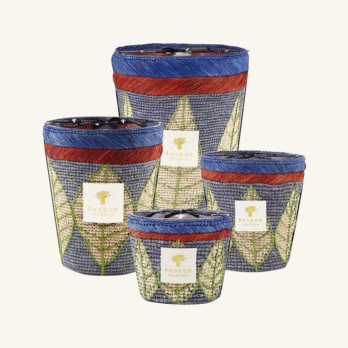 baobab collection ravintsara manga candle max 10
