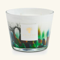 baobab collection rainforest amazonia candle max 10