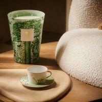 Praiana Tea Cup & Saucer Green bernardaud praiana tea cup saucer green