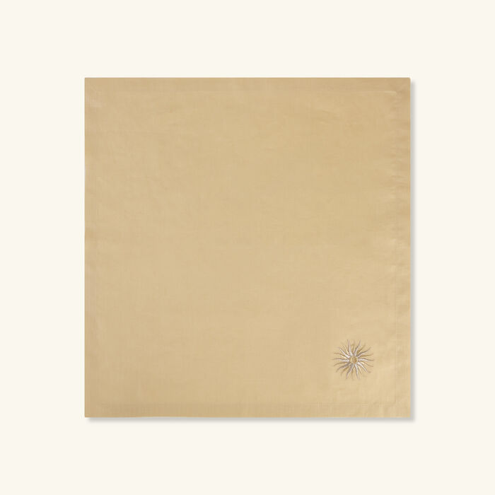 كاترين دينوال منديل بنقشة شمس بيج