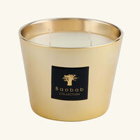 Les Exclusives Aurum Candle Max 10 baobab collection les exclusives aurum candle max 10
