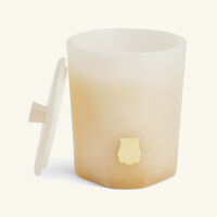 trudon hemera candle 270g