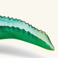 daum jardin de cactus centrepiece green