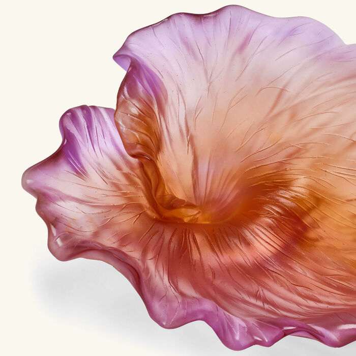 medium