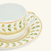 bernardaud constance tea cup   saucer gold