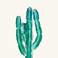 daum cactus sculpture medium green
