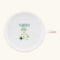 ginori 1739 florenza acanto impero tea cup green