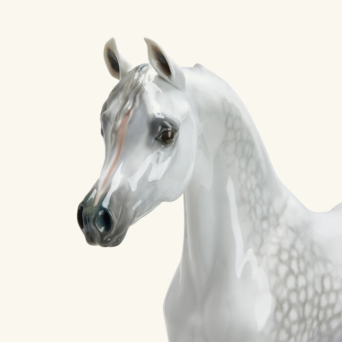 lladro arabian pure breed sculpture large white limited edition