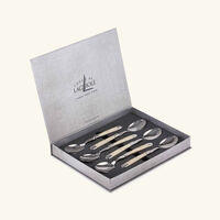 forge de laguiole acrylic handle soup spoon silver set of 6