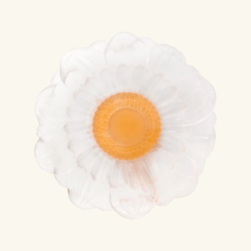 daum or d abeille presentation flower white medium