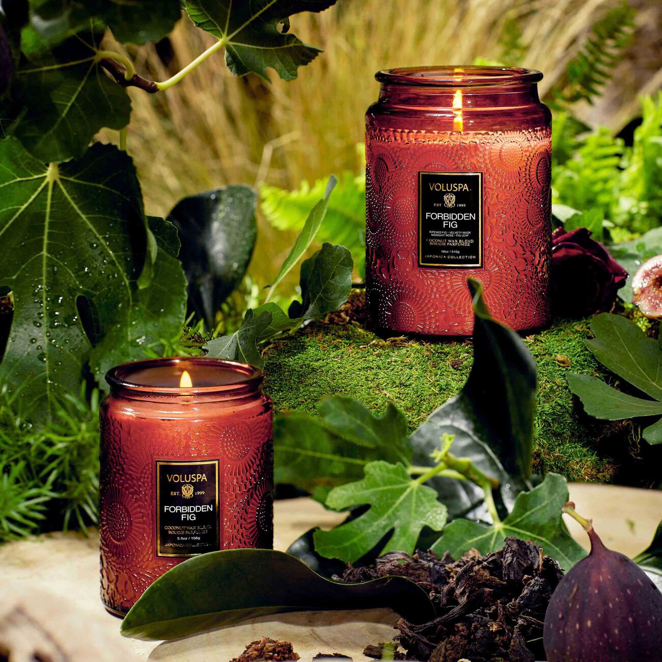Forbidden Fig Candle voluspa forbidden fig candle