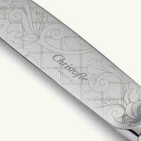 christofle jardin d eden dinner knife silver plated