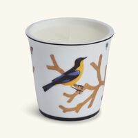 bernardaud aux oiseaux tumbler with candle