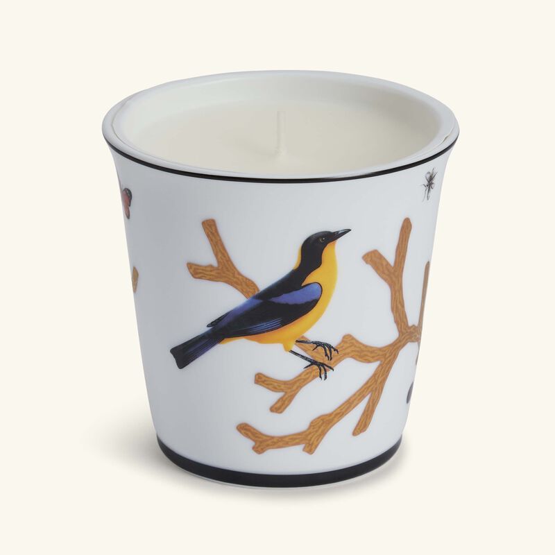 bernardaud aux oiseaux tumbler with candle