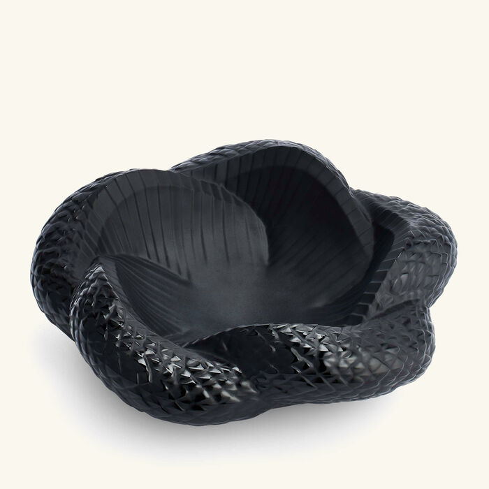 medium