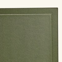 giobagnara phil desk blotter green