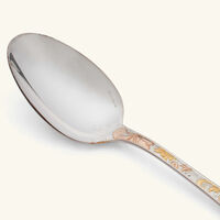 christofle jardin d eden soup spoon silver plated