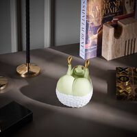 علبة هاس باتس آب خضراء لوبجيه علبة هاس باتس آب خضراء